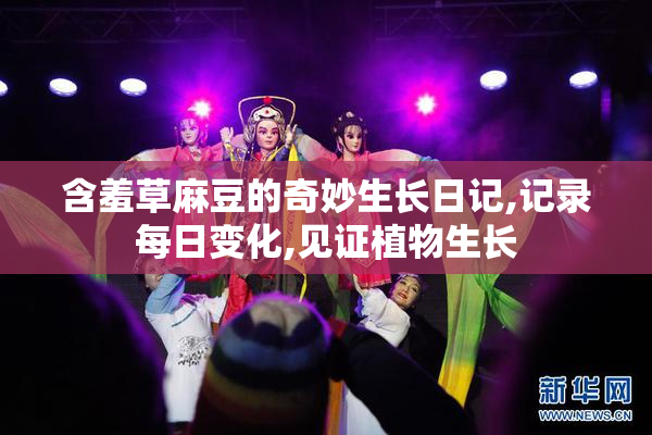 含羞草麻豆的奇妙生长日记,记录每日变化,见证植物生长