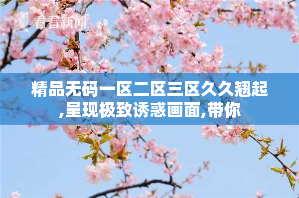 精品无码一区二区三区久久翘起,呈现极致诱惑画面,带你