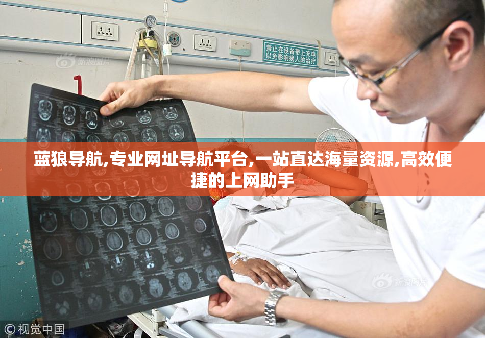 蓝狼导航,专业网址导航平台,一站直达海量资源,高效便捷的上网助手