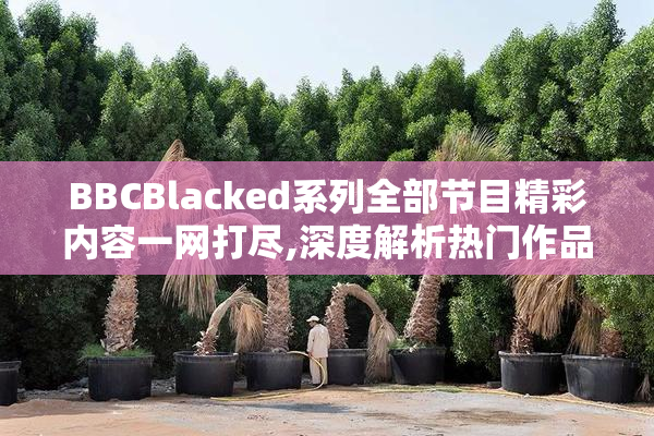 BBCBlacked系列全部节目精彩内容一网打尽,深度解析热门作品,探索