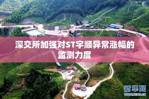 深交所加强对ST宇顺异常涨幅的监测力度