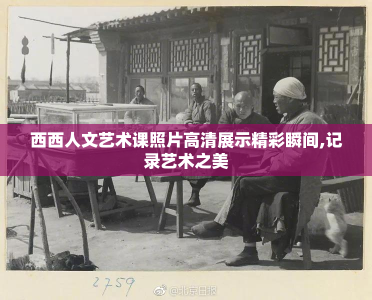 西西人文艺术课照片高清展示精彩瞬间,记录艺术之美