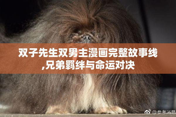 双子先生双男主漫画完整故事线,兄弟羁绊与命运对决
