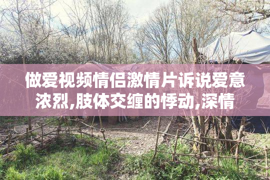 做爱视频情侣激情片诉说爱意浓烈,肢体交缠的悸动,深情
