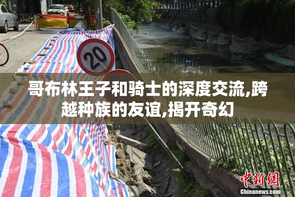 哥布林王子和骑士的深度交流,跨越种族的友谊,揭开奇幻