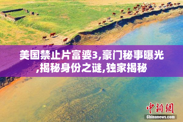 美国禁止片富婆3,豪门秘事曝光,揭秘身份之谜,独家揭秘