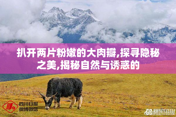 扒开两片粉嫩的大肉瓣,探寻隐秘之美,揭秘自然与诱惑的
