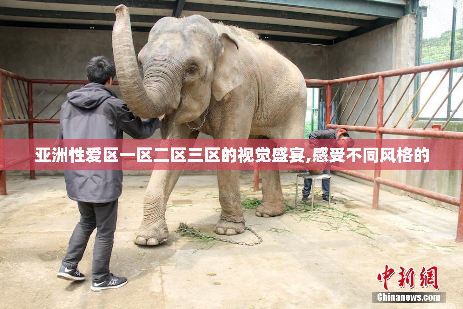 亚洲性爱区一区二区三区的视觉盛宴,感受不同风格的