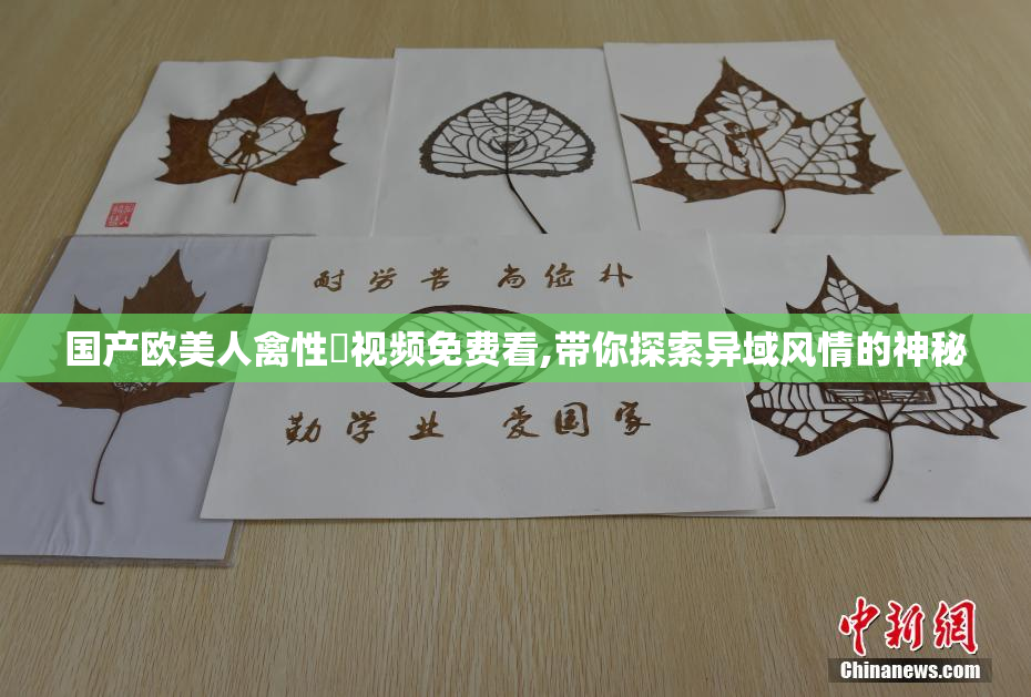 国产欧美人禽性恔视频免费看,带你探索异域风情的神秘