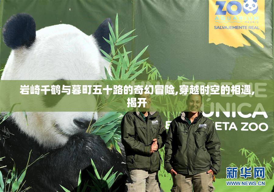 岩崎千鹤与暮町五十路的奇幻冒险,穿越时空的相遇,揭开