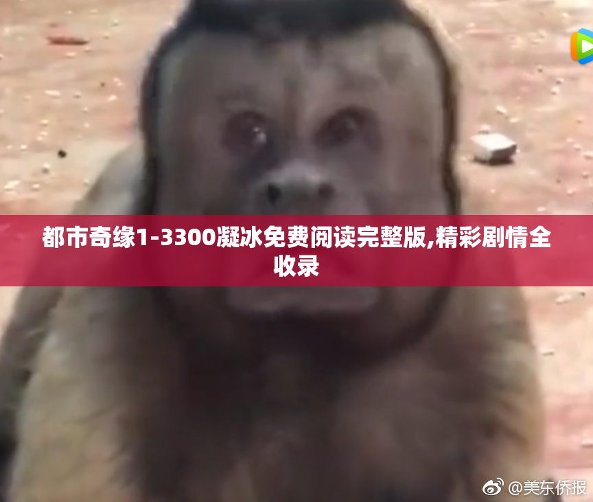 都市奇缘1-3300凝冰免费阅读完整版,精彩剧情全收录