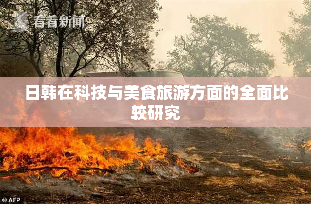 日韩在科技与美食旅游方面的全面比较研究