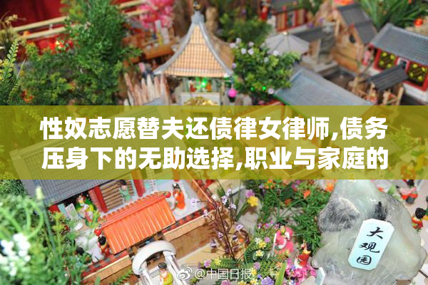 性奴志愿替夫还债律女律师,债务压身下的无助选择,职业与家庭的