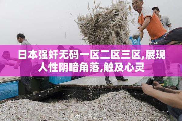 日本强奸无码一区二区三区,展现人性阴暗角落,触及心灵