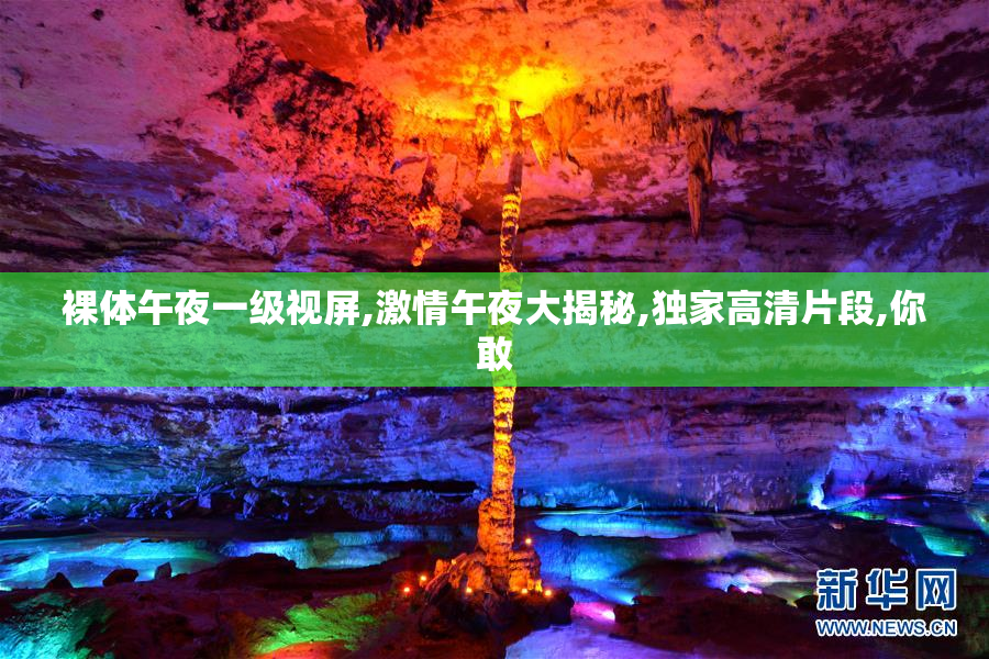 裸体午夜一级视屏,激情午夜大揭秘,独家高清片段,你敢
