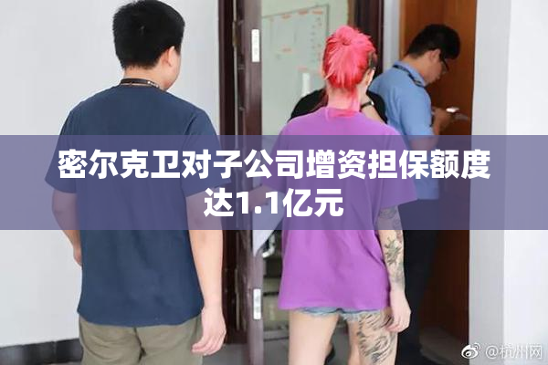 密尔克卫对子公司增资担保额度达1.1亿元