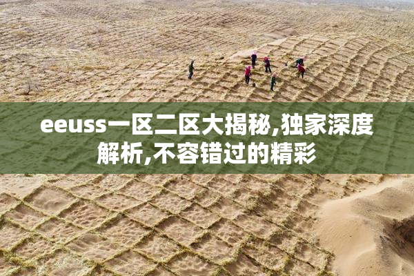 eeuss一区二区大揭秘,独家深度解析,不容错过的精彩