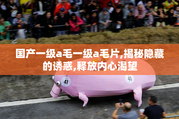 国产一级a毛一级a毛片,揭秘隐藏的诱惑,释放内心渴望