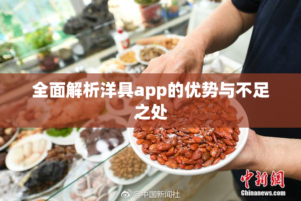 全面解析洋具app的优势与不足之处