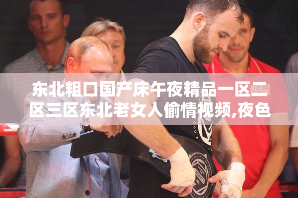 东北粗口国产床午夜精品一区二区三区东北老女人偷情视频,夜色下的