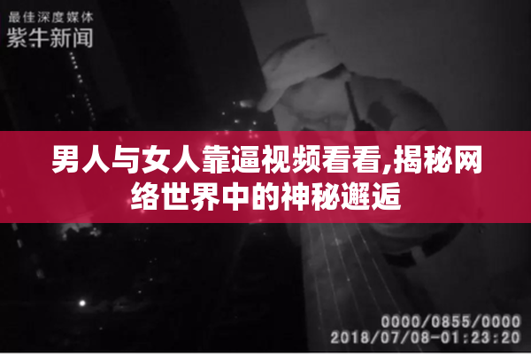 男人与女人靠逼视频看看,揭秘网络世界中的神秘邂逅