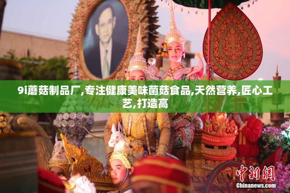 9i蘑菇制品厂,专注健康美味菌菇食品,天然营养,匠心工艺,打造高
