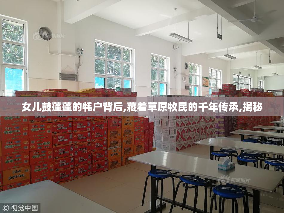 女儿鼓蓬蓬的牦户背后,藏着草原牧民的千年传承,揭秘