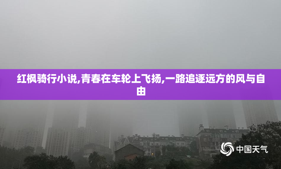 红枫骑行小说,青春在车轮上飞扬,一路追逐远方的风与自由