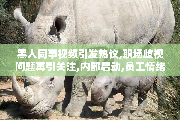 黑人同事视频引发热议,职场歧视问题再引关注,内部启动,员工情绪