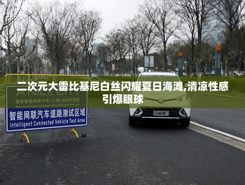 二次元大雷比基尼白丝闪耀夏日海滩,清凉性感引爆眼球