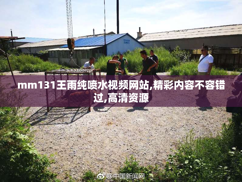 mm131王雨纯喷水视频网站,精彩内容不容错过,高清资源