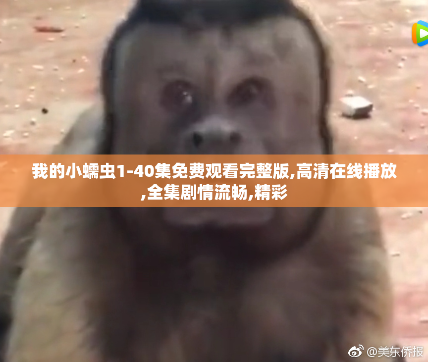 我的小蠕虫1-40集免费观看完整版,高清在线播放,全集剧情流畅,精彩