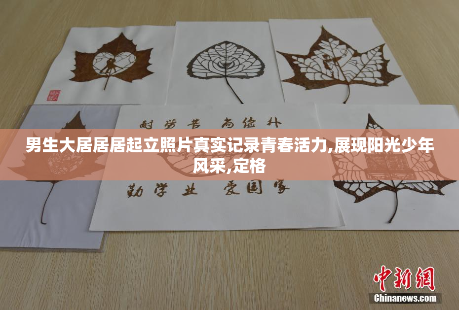 男生大居居居起立照片真实记录青春活力,展现阳光少年风采,定格