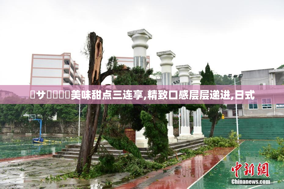 馃サ馃崙馃崋美味甜点三连享,精致口感层层递进,日式