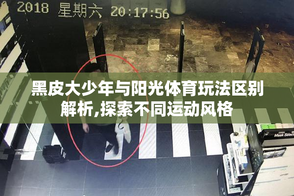 黑皮大少年与阳光体育玩法区别解析,探索不同运动风格