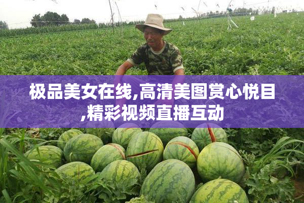 极品美女在线,高清美图赏心悦目,精彩视频直播互动