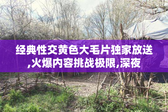 经典性交黄色大毛片独家放送,火爆内容挑战极限,深夜