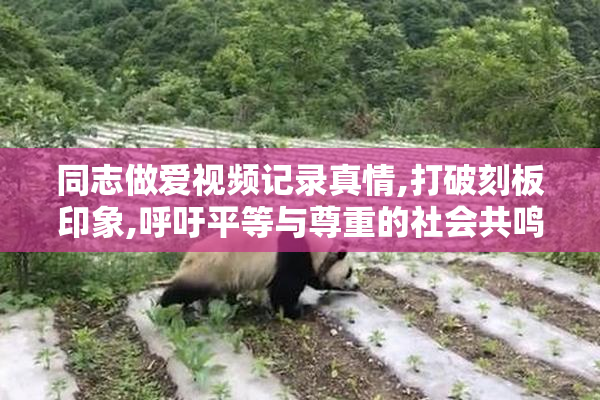 同志做爱视频记录真情,打破刻板印象,呼吁平等与尊重的社会共鸣