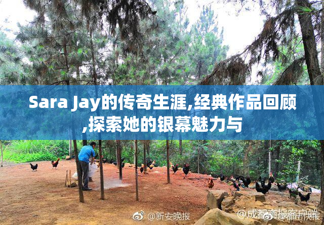 Sara Jay的传奇生涯,经典作品回顾,探索她的银幕魅力与