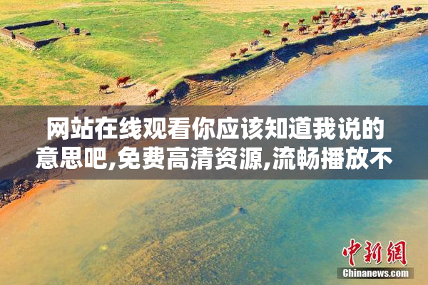 网站在线观看你应该知道我说的意思吧,免费高清资源,流畅播放不
