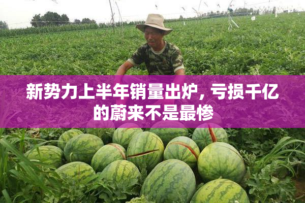 新势力上半年销量出炉, 亏损千亿的蔚来不是最惨