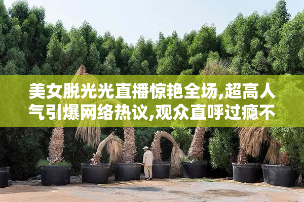 美女脱光光直播惊艳全场,超高人气引爆网络热议,观众直呼过瘾不容