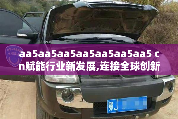 aa5aa5aa5aa5aa5aa5aa5 cn赋能行业新发展,连接全球创新资源,构建