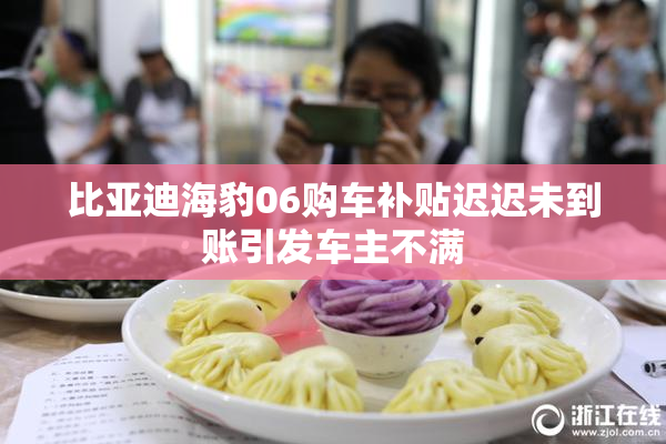 比亚迪海豹06购车补贴迟迟未到账引发车主不满