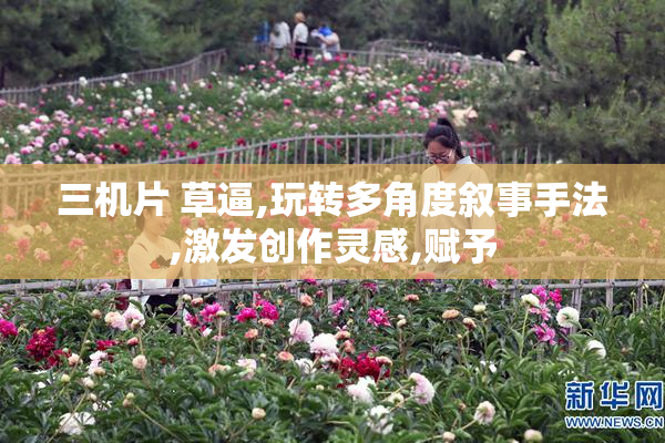 三机片 草逼,玩转多角度叙事手法,激发创作灵感,赋予