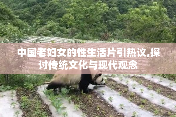 中国老妇女的性生活片引热议,探讨传统文化与现代观念