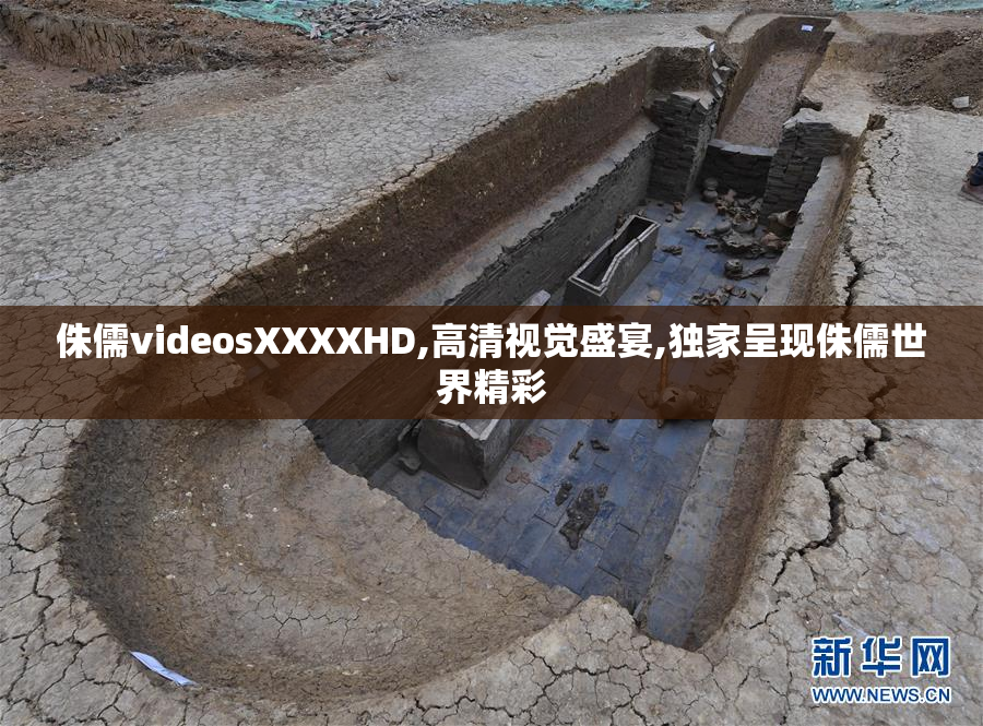 侏儒videosXXXXHD,高清视觉盛宴,独家呈现侏儒世界精彩