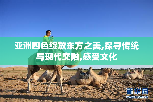 亚洲四色绽放东方之美,探寻传统与现代交融,感受文化
