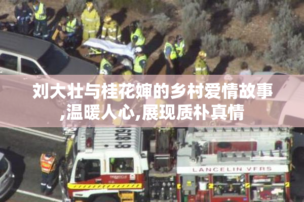刘大壮与桂花婶的乡村爱情故事,温暖人心,展现质朴真情