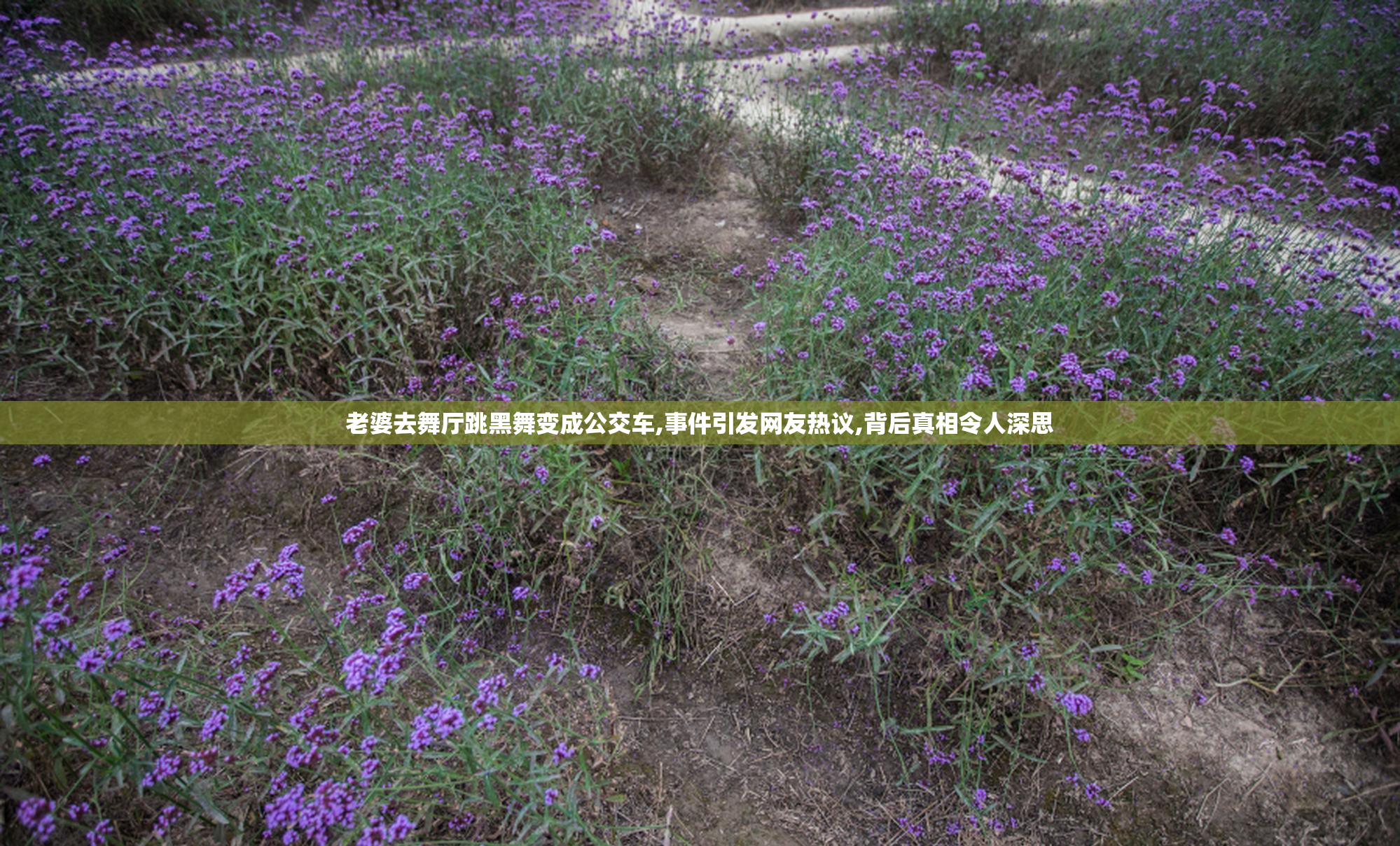 老婆去舞厅跳黑舞变成公交车,事件引发网友热议,背后真相令人深思